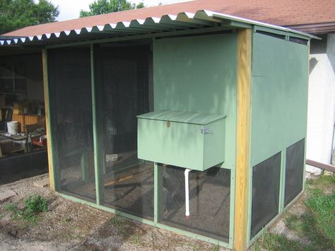 hot weather coop idea Pinellas County Florida, Florida Backyard, Backyard Coop, Baby Chicks Raising, Laying Chickens, Raising Backyard Chickens, Chicken Coop Designs, Chic Chic, Backyard Chicken Coops