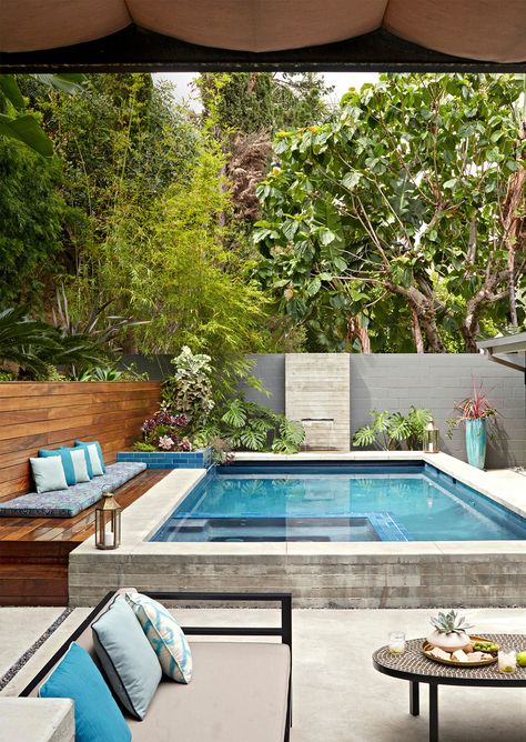 Midcentury Ranch, Kleiner Pool Design, Urban Backyard, Small Pool Design, Meteor Garden 2018, Small Pools, Backyard Pool Designs, Swimming Pools Backyard, Backyard Retreat