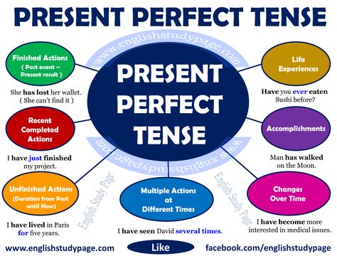 Present Perfect Tense – English Study Page Present Perfect Tense, Ingles Kids, English Grammar Notes, Tenses English, English Grammar Tenses, English Grammar Exercises, English Grammar Rules, Simple Past Tense, Perfect Tense