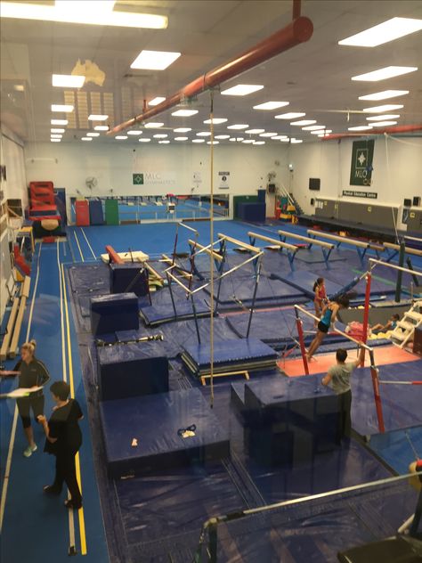 Physical Environment  - providing gymnastics equipment promotes PA, allowing people to participate in this form of PA. Physically Active, Gymnastics Equipment, Physical Environment, Physical Activity, Physical Activities, Ecology, Gymnastics, Physics, Books