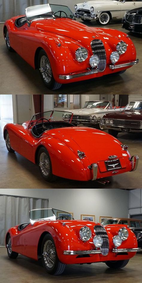 1954 Jaguar XK120 SE Roadster Leaping Cat, Jaguar Roadster, Jaguar Xj13, Jaguar Cat, Cars Jaguar, Side Curtains, Triumph Cars, Jaguar (cars), Jaguar Daimler