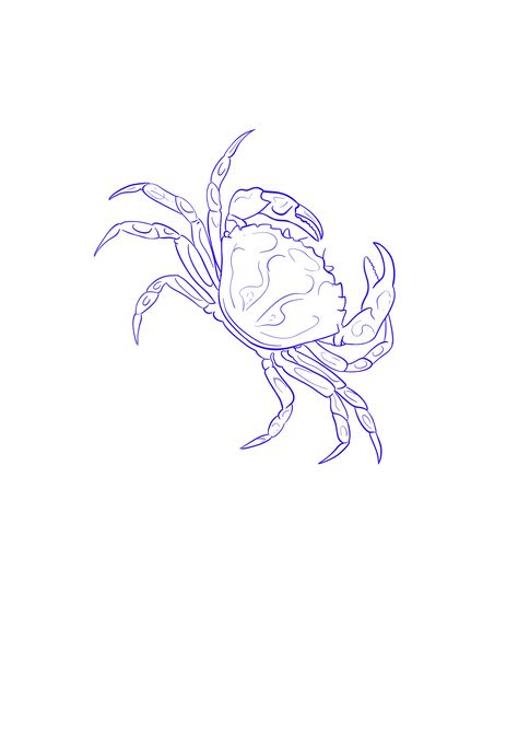 Sea Crab Tattoo, Crab Tattoo With Flowers, Dungeness Crab Tattoo, Fineline Crab Tattoo, Maryland Blue Crab Tattoo, Crustacean Tattoo, Crab Tattoo Men, Beach Ocean Tattoo, Small Crab Tattoo