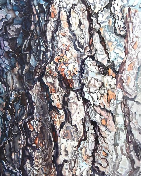 Watercolor Forest Landscape, Tree Trunk Drawing, Tree Bark Texture, Painted Trunk, Bark Texture, Exhibition Opening, Northern Ontario, Watercolor Forest, Temperate Rainforest