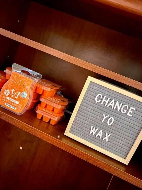 Scentsy Wax Change, Wax Change Wednesday Scentsy, Wickless Candles, Electric Candle Warmers, Laundry Products, Wax Warmers, Signature Scent, Fragrance Wax, Natural Oils