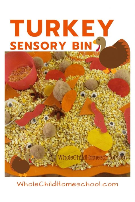 Thanksgiving Themed Activities Preschool, Preschool Thanksgiving Sensory Bin, Thanksgiving Sensory Activities Preschool, Sensory Bin Thanksgiving, Thanksgiving Sensory Table Ideas, November Preschool Sensory Bin, Daycare Thanksgiving Activities, Art Sensory Bin Preschool, Turkey Sensory Bin Preschool