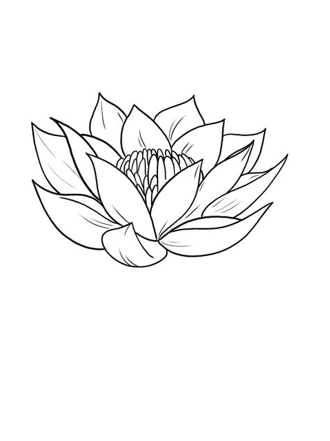 Lotus Outline Drawing, Drawing Trace, Trace Drawings, Lotus Flower Outline, Lotus Outline, Lotus Flower Drawing, Flower Stencils, Mom Tattoo, Red Lotus