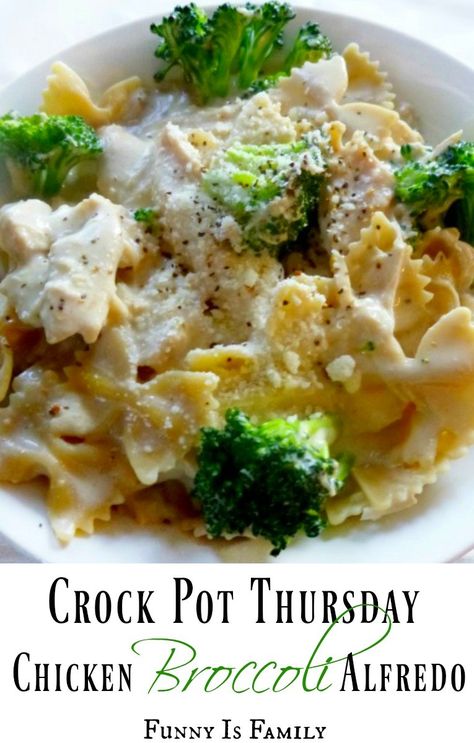 Chicken Broccoli Crockpot, Chicken Broccoli Alfredo, Chicken Crockpot Recipes Easy, Broccoli Alfredo, Easy Crockpot Chicken, Crock Pot Chicken, Chicken And Broccoli, Crockpot Recipe, Crockpot Dishes