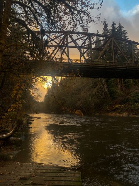 #twilight #goldenhour #fall #autumn #washington #forks Washington Forks, Forks Washington Twilight, Forks Washington, Oregon Hikes, Small Town Life, Scenery Pictures, Summer Road Trip, Life Is Strange, The Twilight Saga