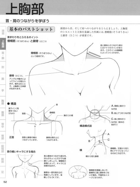 How to draw shoulders, collarbone, and neck. -- Drawing tools, inspiration, creativity, tutorial, reference sheet, guide Anime Neck Reference, Anime Shoulder Reference, How To Draw Anime Shoulders, Neck Anime Drawing, Draw Neck And Shoulders, Collarbone Sketch, Collarbone Reference, How To Draw Neck, Drawing Shoulders