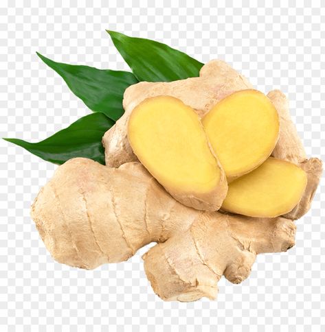 Health Benefits Of Ginger, Ginger Benefits, Vegetable Seeds, Plant Seeds, Bonsai Plants, Cold Remedies, Ginger Root, Planting Vegetables, Organic Vegetables