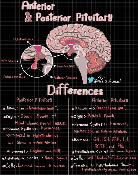 X Physiology Notes, Med Notes, Learn Biology, Psychology Notes, Medical School Life, Study Biology, Medicine Notes, Basic Anatomy And Physiology, Nurse Study Notes