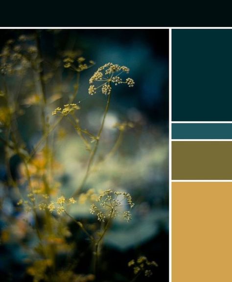 blues and yellows. Kitchen color scheme Teal Color Palette, Teal Color Schemes, Bathroom Color Schemes, Teal Walls, Kitchen Colour Schemes, Colour Combos, Trendy Living Rooms, Colour Combo, Fall Wedding Colors