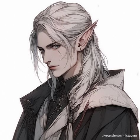 Elf Hairstyles Drawing Male, Silver Haired Man, Male With Long White Hair, Dnd Rogue Male, High Elf Art, Male Elf Character Design, White Hair Dnd Character Male, Male Elf Art, Elf With White Hair