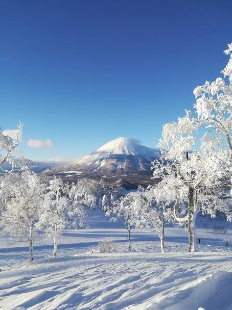 Japan Snowboarding, Ski Japan, Christmas In Japan, Snowboarding In Japan, Snow In Japan, Japan Skiing, Hokkaido Winter, Skiing In Japan, Christmas Japan