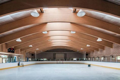 Homes With Their Own Ice Rinks - WSJ Tuscan Village, Hockey Arena, Oak Cliff, Ice Skating Rink, Dream Mansion, Detroit Red Wings Hockey, Pittsburgh Penguins Hockey, Red Wings Hockey, Skating Rink