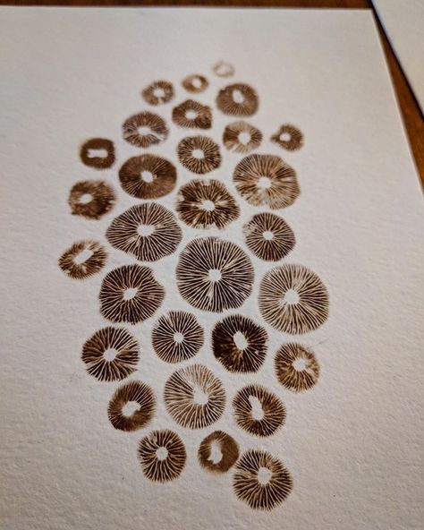 MushroomInBloom on Instagram: “The biggest mushroom used in these spore prints was probably 1/2 an inch. They’re so tiny and magical! I was almost certain they wouldn’t…” Mushroom Spore Print Tattoo, Mushroom Mycelium Tattoo, Mushroom Spores Art, Mushroom Spore Art, Mushroom Spore Print Art, Spore Print Tattoo, Spore Print Art, Mushroom Printing, Brains Aesthetic