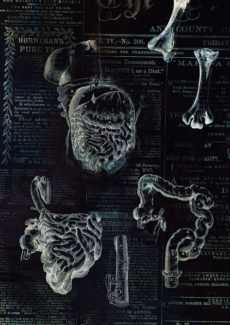 Vintage Medical Art, Radiology Student, Human Body Organs, Medicine Notes, Medical School Life, Creepy Core, Medical School Motivation, Human Anatomy Art, Medical Anatomy