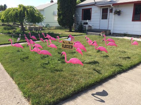 Flocked Fundraiser, You've Been Flocked, Club Ideas, Do It Again, Youth Ministry, Flocking, You've Been, Classroom Ideas, Front Yard