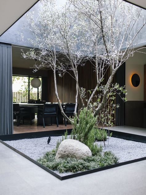 The New Pujol Is Absolutely Breathtaking - Eaterclockmenumore-arrow : A Mexico City icon gets a reinvention Modern Zen Garden, Planting Layout, Indoor Zen Garden, Modern Japanese Garden, Indoor Courtyard, Japanese Garden Landscape, Zen Interiors, Courtyard Gardens Design, Modern Pergola