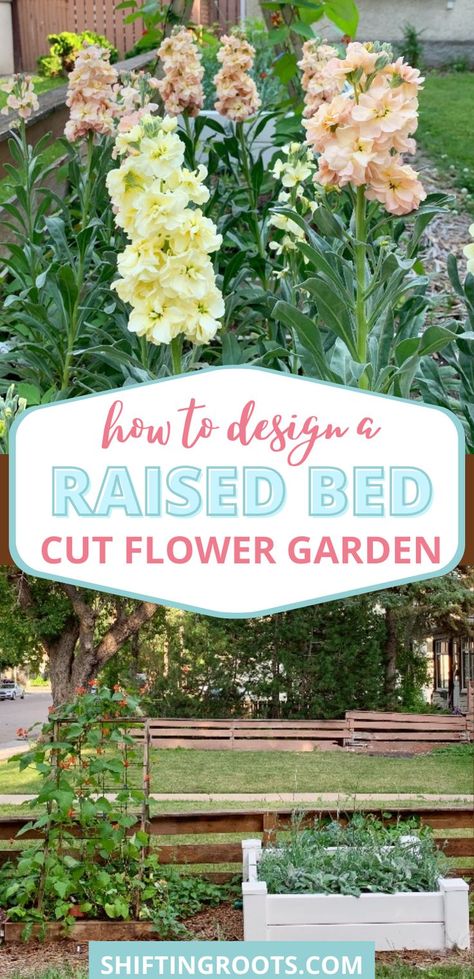 Wondering whether or not you can grow cut flowers in raised beds? The answer is yes! Pretty much anything you can grow in-ground can be grown in a raised bed. Here's how to design your raised bed cut flower garden! Above Ground Flower Garden, Raised Beds Flower Garden, Raised Floral Garden Beds, How To Make A Raised Flower Bed, Best Flowers For Garden Beds, Raised Bed Flower Garden Ideas Planter Boxes, Raised Garden Beds Wildflowers, Raised Garden Beds With Flowers, Garden Box Flowers