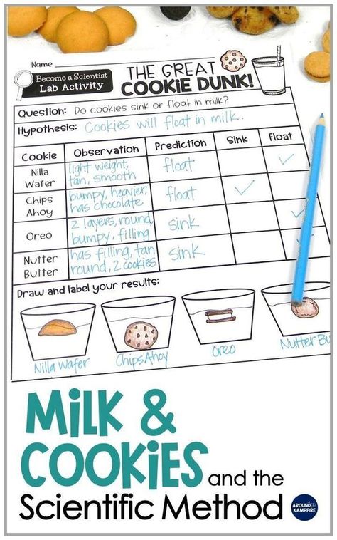 Science Experiment For 3rd Grade, Science Experiment Questions, Science Project For 1st Grade, Fun Science Lessons For 3rd Grade, 3rd Grade Experiments, Science Projects For 1st Graders, Scientific Method 1st Grade, Claim Evidence Reasoning Science Activities, Stem Projects 1st Grade