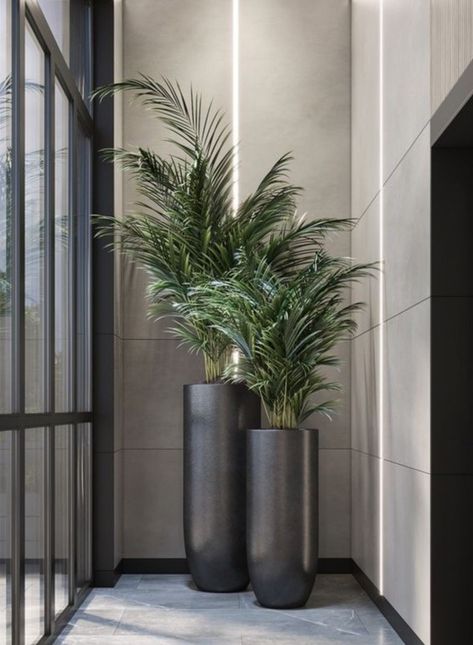 Great House Plants, Lobby Plants Interior Design, Tall Indoor Planter Ideas, Big Vases Decor Living Room, Fall Outdoor Planter Ideas, Fall Potted Plants, Shade Plants Container, Fall Container Plants, Outdoor Planter Ideas