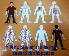 Human Body Paper Craft--layer the body systems and make a little paper man! The Body Systems, Homeschool Subjects, Clay Human, Elementary Science Teacher, Teaching Middle School Science, Human Skeletal System, Body Rocks, Body Man, Elementary School Science