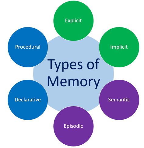 Different Types Of Memory, Memory Psychology, Teaching Aptitude, Psychology A Level, Teaching Psychology, Episodic Memory, Ap Psych, Philosophy Theories, Types Of Memory