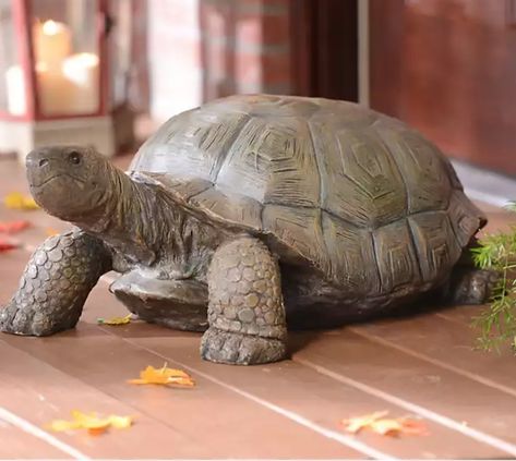 Turtle Humanoid, Tortoise Sculpture, Tortoise Cake, Pottery Turtle, Clay Turtle, Ceramic Turtle, Turtle Sculpture, Giant Tortoise, Anatomy Sculpture