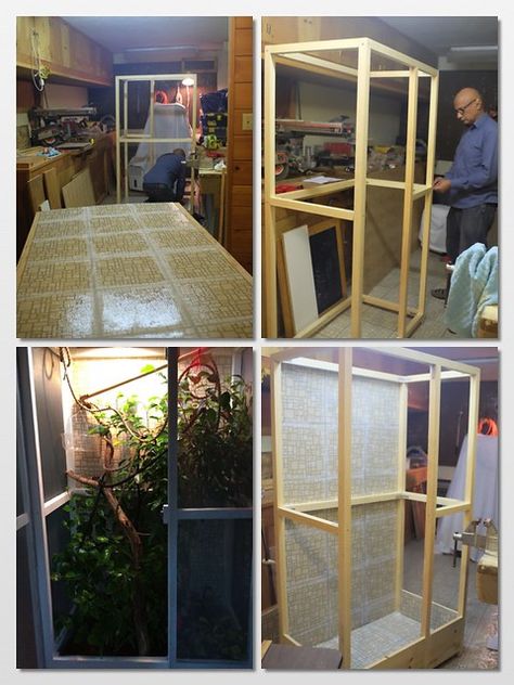 ** Chameleon Cage ** | For Sean.... Sorry I did erase most o… | Flickr Iguana Cage Ideas, Bioactive Chameleon Enclosure, Chameleon Terrarium, Chameleon Enclosure, Iguana Cage, Iguana Pet, Chameleon Cage, Terrariums Diy, Diy Reptile