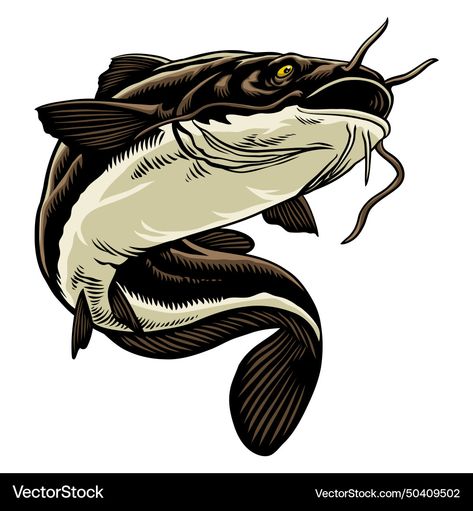 Fish Vector Illustration, Catfish Clipart, Catfish Illustration, Catfish Images, Red Tail Catfish, Catfish Tattoo, Nick Jackson, Channel Catfish, Fishing Design