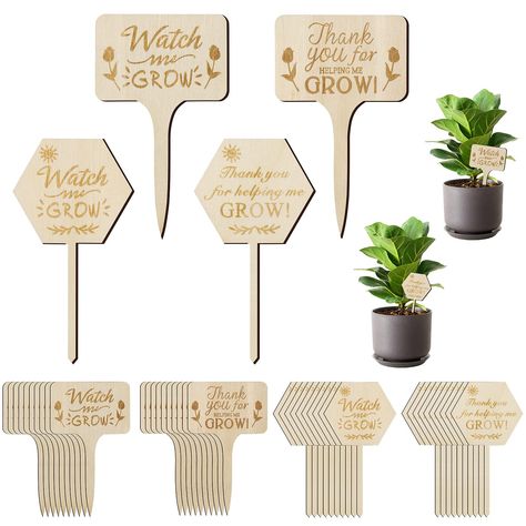 PRICES MAY VARY. 【Quality Material】Wooden plant stakes labels are made of wood , which is lightweight but solid. Besides, each of plant sign has been finely polished, which makes it of clear texture, smooth surface and beautiful appearance. 【Appreciation Gift】Our unique succulent plant tags with the words of appreciation“Thank You for Watching Me Grow” and “Watch me Grow”, which are perfect appreciation gift for mother, father, teacher, and gardener. 【Wide Application】Wood plant labels will not Potted Plants Garden, Small Succulent Plants, Plant Signs, Plant Party, Tags And Labels, Watch Me Grow, Plant Stakes, Plant Tags, Flower Bar