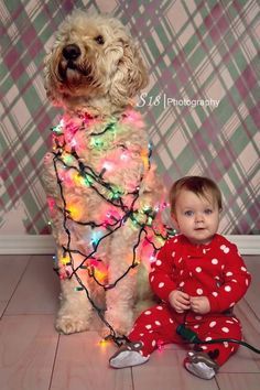 Photo Bb, Christmas Baby Pictures, Dogs Photography, Baby Christmas Photos, Xmas Photos, Christmas Pics, Family Christmas Pictures, Family Holiday Photos, Holiday Photography