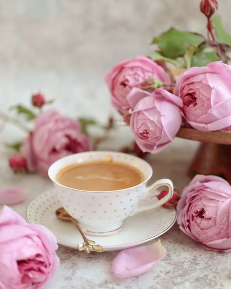 Ewelina | stilllife (@_themousehouse_) • Instagram photos and videos Coffee And Roses, Aesthetic Coffee, Morning Tea, Willie Nelson, Beautiful Rose Flowers, Pretty Wallpapers Backgrounds, Coffee Time, Pink Aesthetic, Beautiful Roses