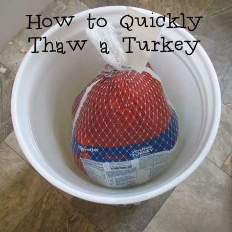 How to Quickly Thaw a Turkey - Eat Like No One Else Thaw Turkey In Water, Turkey Thaw Time, Defrosting Turkey, Thaw A Turkey, Cooking A Frozen Turkey, Fish For Dinner, Quick Turkey, Thawing Turkey, Five Gallon Bucket