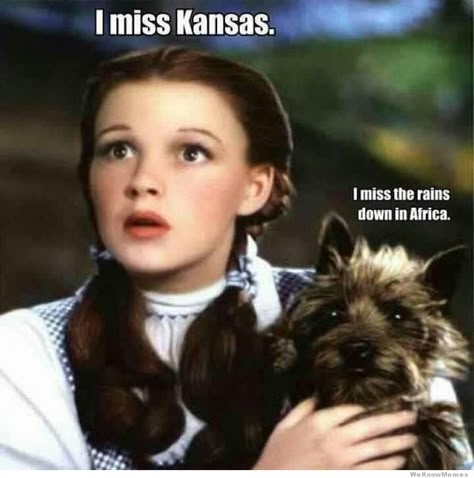 Dorthy From Wizard of Oz meme about that song about remembering the rains down in Africa. Wizard Of Oz Memes, Song Memes, Funny Songs, Humor Memes, Music Memes, Oui Oui, Really Funny Pictures, Wizard Of Oz, Funny Posts