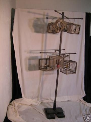 Sweeney Todd Bird Cage Prop with Breakable Cage | #33429316 Fake Birds, Sweeney Todd, Bird Cages, Bird Cage, Wardrobe Rack