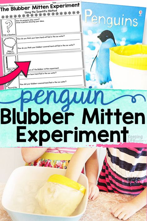 Penguin Experiment, 2nd Grade Science Projects, Penguins Kindergarten, Antarctic Animals, Penguin Activities, Science Experiments For Preschoolers, Preschool Planning, Winter Classroom, My Father's World