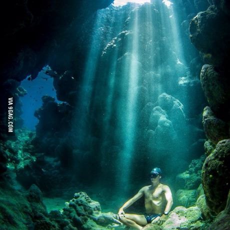 Just a man sitting in a cave at the bottom of the ocean It's All About Perspective, The Bottom Of The Ocean, Bottom Of The Ocean, Gorgeous Cats, Man Sitting, Dump A Day, Picture Day, Cat Sleeping, Just Relax