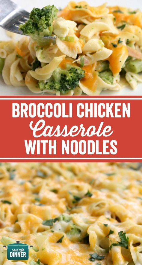 Thirty Minute Broccoli Chicken Casserole with Egg Noodles. A weeknight dinner the whole family will love. Simple and Delicious Recipe. ~ http://reallifedinner.com Chicken Noodles And Broccoli, What To Do With Egg Noodles, Chicken Broccoli Noodles Cheese Casserole, Chicken Noodle Cheese Casserole, Broccoli Cheese Noodle Casserole, Cheddar Broccoli Noodles, Chicken Recipes With Egg Noodles, Broccoli And Noodle Recipes, Recipes For Egg Noodles