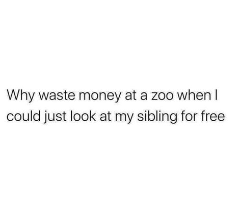 Tinder Quotes, Brother Sister Quotes Funny, Siblings Funny Quotes, Funny Drinking Quotes, Moody Quotes, Siblings Funny, Sister Quotes Funny, Annoying People, Instagram Captions For Friends