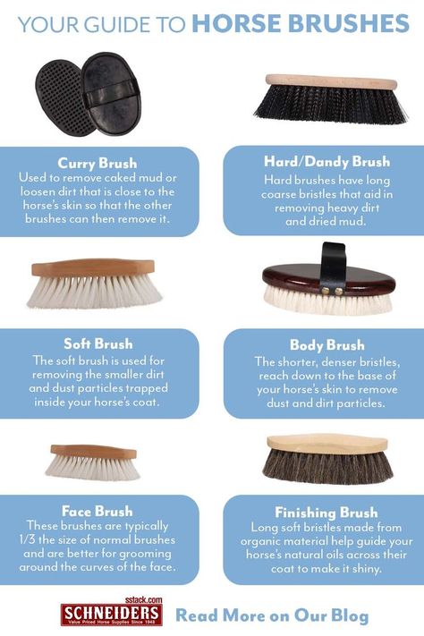 Your Guide to Horse Brushes How To Groom A Horse Properly, Horse Care Hacks, How To Groom A Horse, How To Care For Horses, Horse Tack Knowledge, Caring For Horses, Things For Horses, Horse Hoof Care, How To Care For A Horse