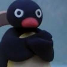 Pingu Memes, 밈 유머, Funny Profile, Cartoon Memes, Funny Profile Pictures, Meme Template, Cute Memes, Funny Reaction Pictures, Animal Jokes