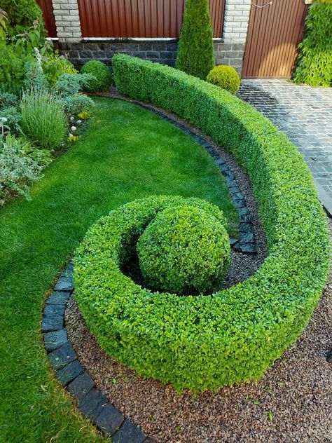 Modern Topiary, Circular Garden Design, Garden Landscaping Design Ideas, Modern Garden Design Ideas, Boxwood Landscaping, Amazing Landscaping Ideas, Shrubs For Landscaping, Boxwood Garden, Topiary Garden