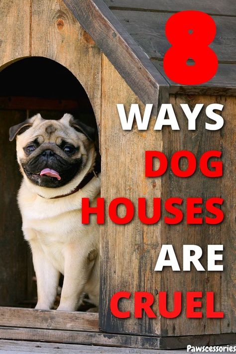 Dog sitting outside in a dog house. There is text over the image saying "8 ways dog houses are cruel". Underground Dog House, Diy Dog Shelter, How To Make A Dog House, Outside Dog Houses For Big Dogs Winter, Diy Dog House For Winter, Diy Outdoor Dog House, Diy Outdoor Dog House Winter, Heated Dog House Outdoor, Diy Dog House Outdoor