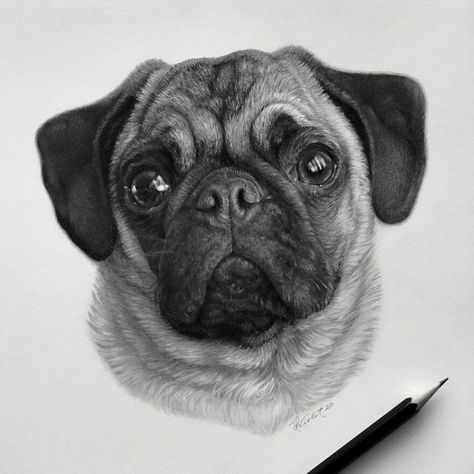 49 Hyper-Realistic Animal Pencil Drawings By Helen Violet Realistic Animal Drawings, Dog Portraits Art, Handmade Portrait, Realistic Sketch, Pencil Drawings Of Animals, Realistic Pencil Drawings, Dog Sketch, Pets Drawing, Animal Portraits