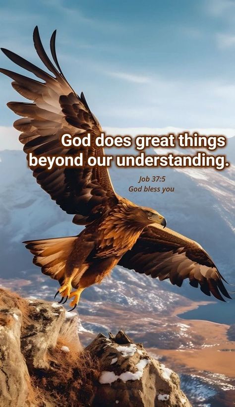 Good Morning Eagle Images, Eagle Bible Verse, Exams Motivation, Jesus Laughing, Prophetic Painting, Lord Shiv, Positive Morning Quotes, Positive Morning, Bible Verse Background