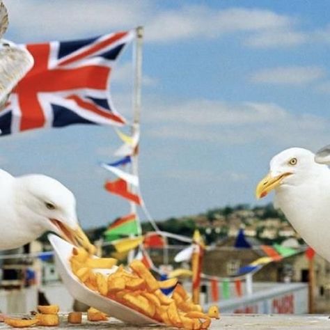 British Culture Photography, British Beach Aesthetic, British Seaside Aesthetic, British Culture Aesthetic, British Summer Aesthetic, British Summertime, British Beach, British Holidays, British Aesthetic