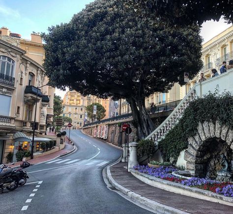 Houses In Monaco, Monaco Apartment Monte Carlo, Monaco Astethic, University Of Monaco, Monaco Streets, Monaco House, Monaco Monte Carlo, Travel Wishlist, Europe Summer