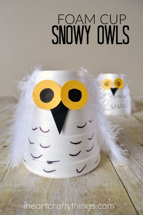 Make a cute snowy owl kids craft out of a small foam cup. Great winter craft for kids or for learning about arctic animals. Snowy Owl Craft, Snow Owls, Storytime Crafts, January Crafts, Owl Kids, Winter Preschool, Kids Crafting, Owl Crafts, Cup Crafts